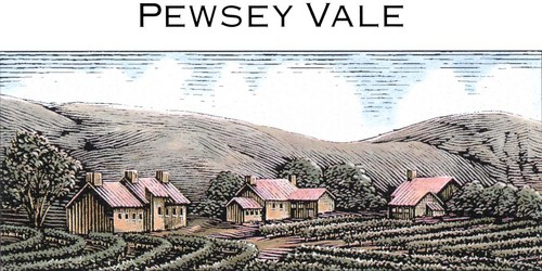 Bid on PEWSEY VALE Individual Vineyard Selection Riesling Eden